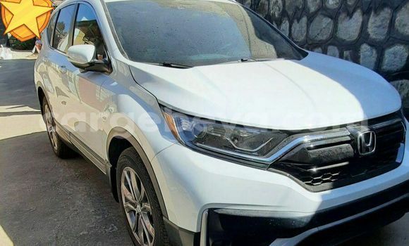 Buy New Honda CR–V White Car in Addis–Ababa in Ethiopia