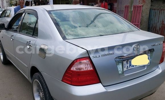 ይግዙ ያገለገለ Toyota Corolla ብር መኪና በ አዲስ አበባ በ ኢትዮጵያ ይግዙ ያገለገለ Toyota Corolla ብር መኪና በ አዲስ አበባ በ ኢትዮጵያ