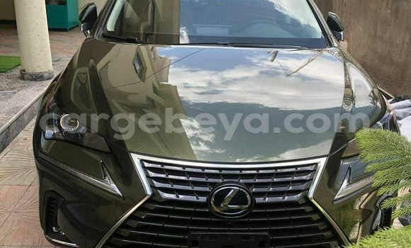 Haaraa Lexus NX Other Makiinaa iti Addis–Ababa keessatti Ethiopia keessatti Haaraa Lexus NX Other Makiinaa iti Addis–Ababa keessatti Ethiopia keessatti