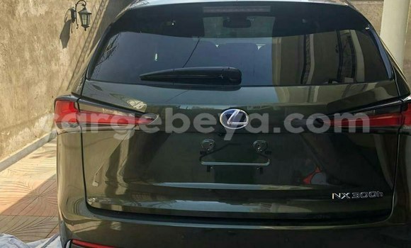 Haaraa Lexus NX Other Makiinaa iti Addis–Ababa keessatti Ethiopia keessatti Haaraa Lexus NX Other Makiinaa iti Addis–Ababa keessatti Ethiopia keessatti