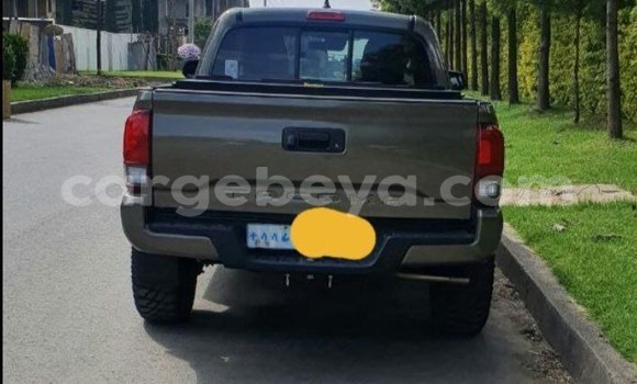 Acheter Occasion Voiture Toyota Tacoma Autre à Addis Ababa, Ethiopie Acheter Occasion Voiture Toyota Tacoma Autre à Addis Ababa, Ethiopie
