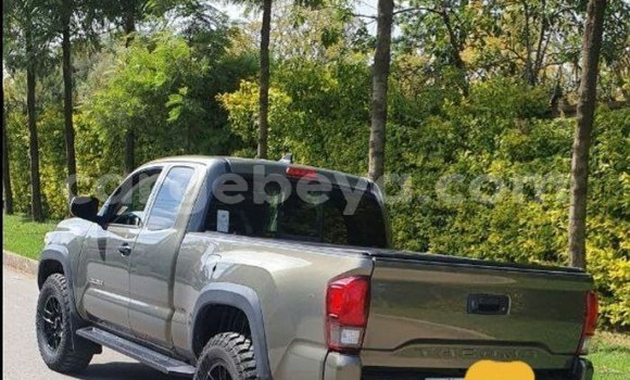 Acheter Occasion Voiture Toyota Tacoma Autre à Addis Ababa, Ethiopie Acheter Occasion Voiture Toyota Tacoma Autre à Addis Ababa, Ethiopie