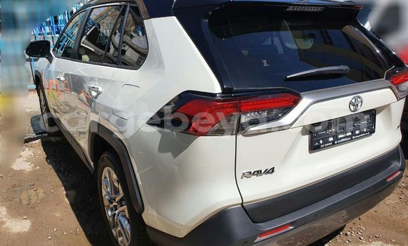 Buy Used Toyota RAV4 White Car in Addis–Ababa in Ethiopia Buy Used Toyota RAV4 White Car in Addis–Ababa in Ethiopia