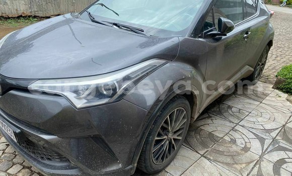 Oofamaa Toyota C-HR Other Makiinaa iti Addis–Ababa keessatti Ethiopia keessatti Oofamaa Toyota C-HR Other Makiinaa iti Addis–Ababa keessatti Ethiopia keessatti