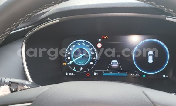 Buy New Hyundai Santa Fe White Car in Addis–Ababa in Ethiopia Buy New Hyundai Santa Fe White Car in Addis–Ababa in Ethiopia