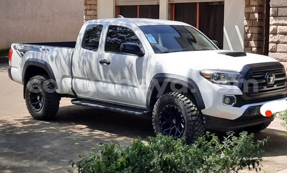 Oofamaa Toyota Tacoma White Makiinaa iti Addis–Ababa keessatti Ethiopia keessatti Oofamaa Toyota Tacoma White Makiinaa iti Addis–Ababa keessatti Ethiopia keessatti