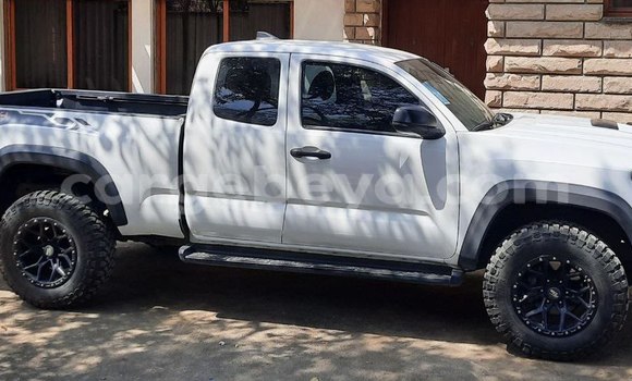 Oofamaa Toyota Tacoma White Makiinaa iti Addis–Ababa keessatti Ethiopia keessatti Oofamaa Toyota Tacoma White Makiinaa iti Addis–Ababa keessatti Ethiopia keessatti