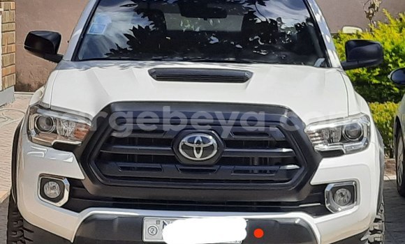 Oofamaa Toyota Tacoma White Makiinaa iti Addis–Ababa keessatti Ethiopia keessatti Oofamaa Toyota Tacoma White Makiinaa iti Addis–Ababa keessatti Ethiopia keessatti