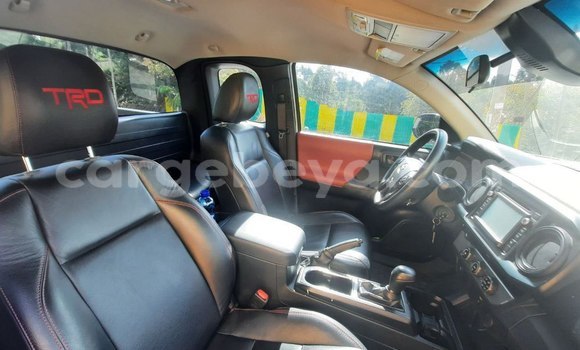 Oofamaa Toyota Tacoma White Makiinaa iti Addis–Ababa keessatti Ethiopia keessatti Oofamaa Toyota Tacoma White Makiinaa iti Addis–Ababa keessatti Ethiopia keessatti