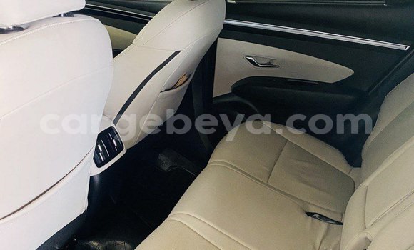 Buy Import Hyundai Tucson Brown Car in Addis–Ababa in Ethiopia Buy Import Hyundai Tucson Brown Car in Addis–Ababa in Ethiopia