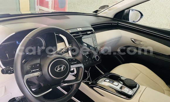 Buy Import Hyundai Tucson Brown Car in Addis–Ababa in Ethiopia Buy Import Hyundai Tucson Brown Car in Addis–Ababa in Ethiopia