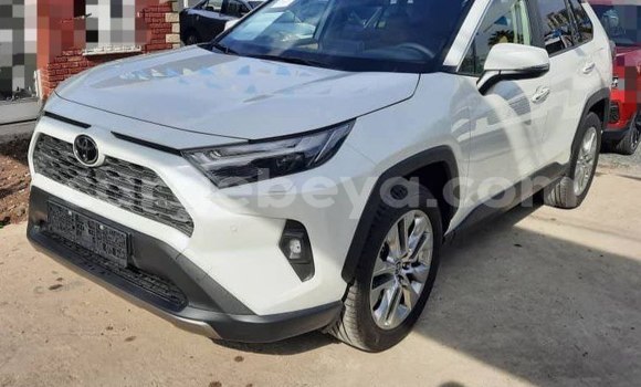 Acheter Neuf Voiture Toyota RAV4 Blanc à Addis Ababa, Ethiopie Acheter Neuf Voiture Toyota RAV4 Blanc à Addis Ababa, Ethiopie
