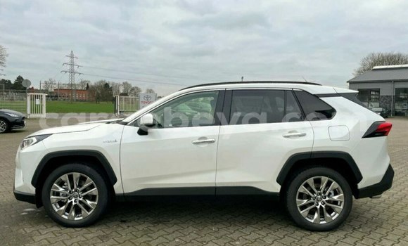Acheter Neuf Voiture Toyota RAV4 Blanc à Addis Ababa, Ethiopie Acheter Neuf Voiture Toyota RAV4 Blanc à Addis Ababa, Ethiopie