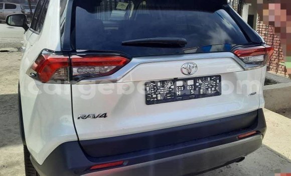Acheter Neuf Voiture Toyota RAV4 Blanc à Addis Ababa, Ethiopie Acheter Neuf Voiture Toyota RAV4 Blanc à Addis Ababa, Ethiopie