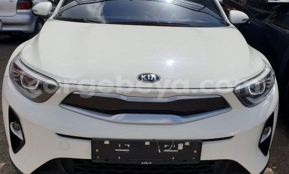 Buy New Kia Stonic White Car in Addis–Ababa in Ethiopia Buy New Kia Stonic White Car in Addis–Ababa in Ethiopia