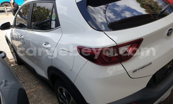 Buy New Kia Stonic White Car in Addis–Ababa in Ethiopia Buy New Kia Stonic White Car in Addis–Ababa in Ethiopia