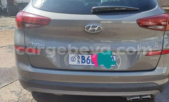 ይግዙ ያገለገለ Hyundai Tucson ሌላ መኪና በ አዲስ አበባ በ ኢትዮጵያ ይግዙ ያገለገለ Hyundai Tucson ሌላ መኪና በ አዲስ አበባ በ ኢትዮጵያ