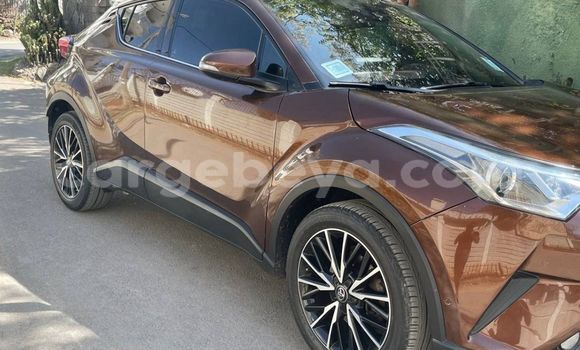 Buy Used Toyota C-HR Brown Car in Addis–Ababa in Ethiopia Buy Used Toyota C-HR Brown Car in Addis–Ababa in Ethiopia