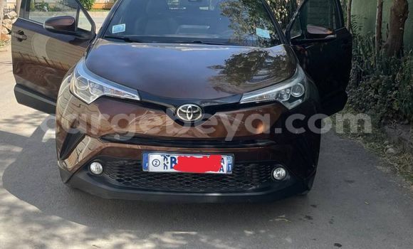 Buy Used Toyota C-HR Brown Car in Addis–Ababa in Ethiopia Buy Used Toyota C-HR Brown Car in Addis–Ababa in Ethiopia