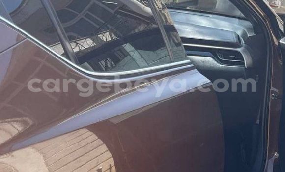 Buy Used Toyota C-HR Brown Car in Addis–Ababa in Ethiopia Buy Used Toyota C-HR Brown Car in Addis–Ababa in Ethiopia