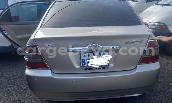 Buy Used Toyota Corolla Silver Car in Addis–Ababa in Ethiopia Buy Used Toyota Corolla Silver Car in Addis–Ababa in Ethiopia