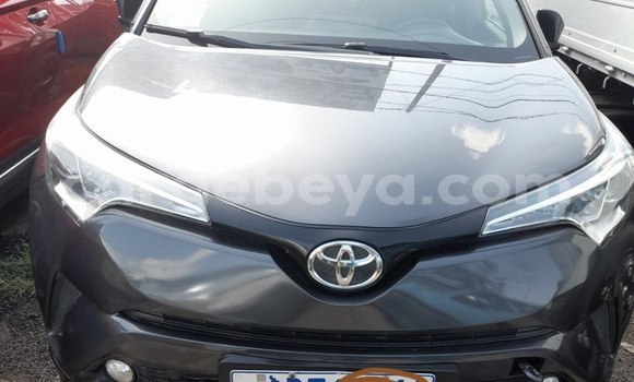 Buy Used Toyota C-HR Other Car in Addis–Ababa in Ethiopia Buy Used Toyota C-HR Other Car in Addis–Ababa in Ethiopia