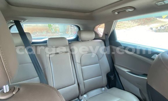 ይግዙ ያገለገለ Hyundai Tucson ሌላ መኪና በ አዲስ አበባ በ ኢትዮጵያ ይግዙ ያገለገለ Hyundai Tucson ሌላ መኪና በ አዲስ አበባ በ ኢትዮጵያ