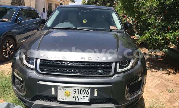 Buy Used Land Rover Range Rover Evoque Silver Car in Jigjiga in Jigjiga