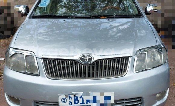 ይግዙ ያገለገለ Toyota Corolla ብር መኪና በ አዲስ አበባ በ ኢትዮጵያ ይግዙ ያገለገለ Toyota Corolla ብር መኪና በ አዲስ አበባ በ ኢትዮጵያ
