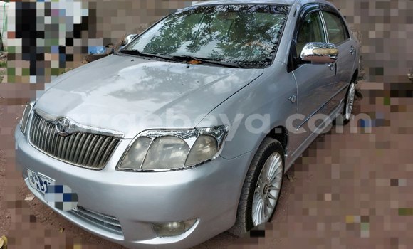 ይግዙ ያገለገለ Toyota Corolla ብር መኪና በ አዲስ አበባ በ ኢትዮጵያ ይግዙ ያገለገለ Toyota Corolla ብር መኪና በ አዲስ አበባ በ ኢትዮጵያ
