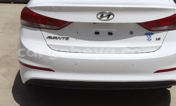 Buy New Hyundai Avante White Car in Addis–Ababa in Ethiopia Buy New Hyundai Avante White Car in Addis–Ababa in Ethiopia