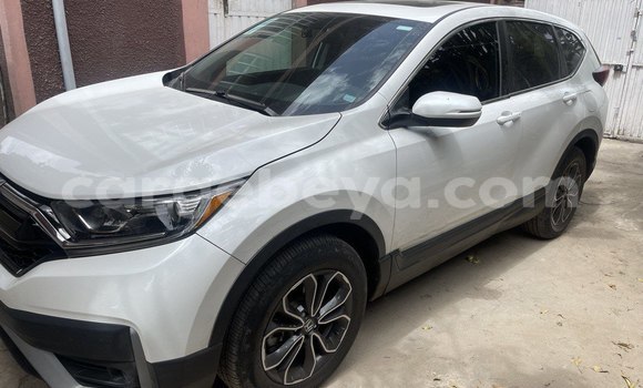 Buy New Honda CR–V White Car in Addis–Ababa in Ethiopia Buy New Honda CR–V White Car in Addis–Ababa in Ethiopia