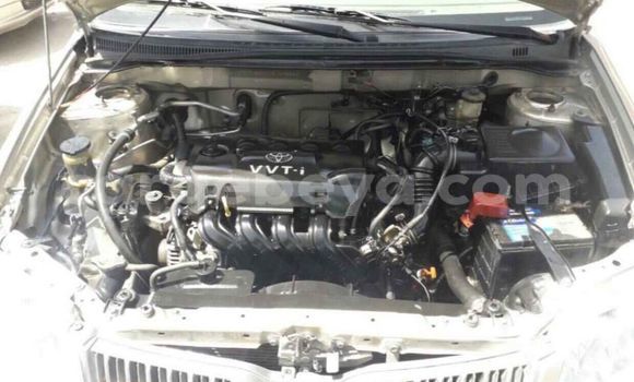 Buy Used Toyota Corolla Beige Car in Addis–Ababa in Ethiopia Buy Used Toyota Corolla Beige Car in Addis–Ababa in Ethiopia