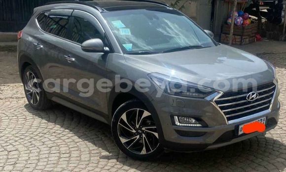 Buy Used Hyundai Tucson Other Car in Addis–Ababa in Ethiopia Buy Used Hyundai Tucson Other Car in Addis–Ababa in Ethiopia