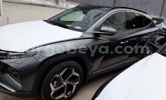 Buy New Hyundai Tucson Other Car in Addis–Ababa in Ethiopia Buy New Hyundai Tucson Other Car in Addis–Ababa in Ethiopia