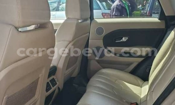 ይግዙ ያገለገለ Land Rover Range Rover Evoque ሌላ መኪና በ አዲስ አበባ በ ኢትዮጵያ ይግዙ ያገለገለ Land Rover Range Rover Evoque ሌላ መኪና በ አዲስ አበባ በ ኢትዮጵያ