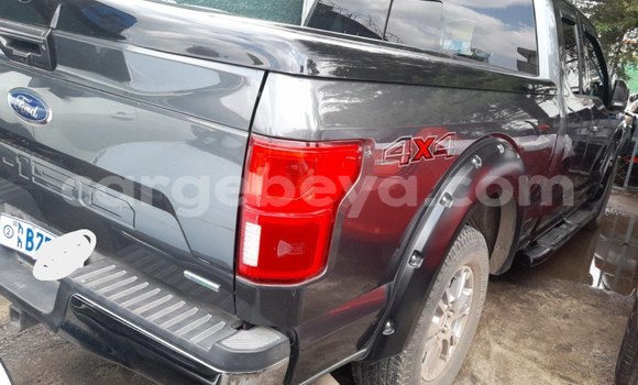 Buy New Ford F–150 Other Car in Addis–Ababa in Ethiopia Buy New Ford F–150 Other Car in Addis–Ababa in Ethiopia