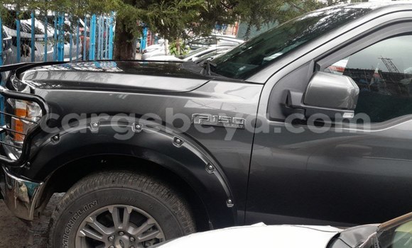 Buy New Ford F–150 Other Car in Addis–Ababa in Ethiopia Buy New Ford F–150 Other Car in Addis–Ababa in Ethiopia