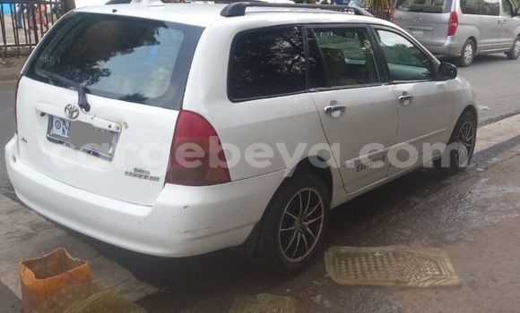 Buy Used Toyota Corolla White Car in Addis–Ababa in Ethiopia Buy Used Toyota Corolla White Car in Addis–Ababa in Ethiopia