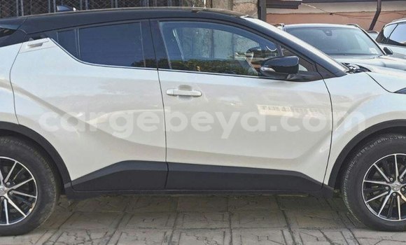 Haaraa Toyota C-HR Other Makiinaa iti Addis–Ababa keessatti Ethiopia keessatti Haaraa Toyota C-HR Other Makiinaa iti Addis–Ababa keessatti Ethiopia keessatti