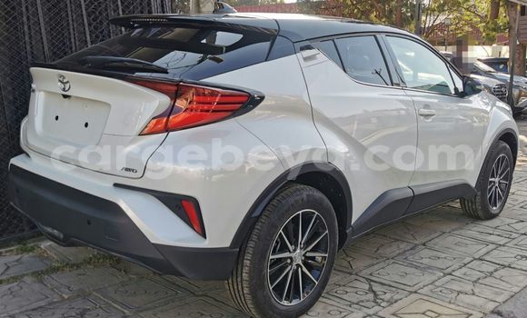 Buy New Toyota C-HR White Car in Addis–Ababa in Ethiopia Buy New Toyota C-HR White Car in Addis–Ababa in Ethiopia