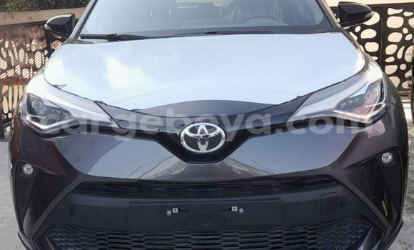 Buy New Toyota C-HR White Car in Addis–Ababa in Ethiopia Buy New Toyota C-HR White Car in Addis–Ababa in Ethiopia
