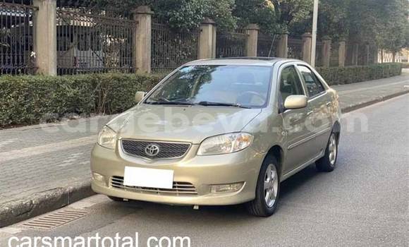 Buy Used Toyota Vios Silver Car in Addis–Ababa in Ethiopia Buy Used Toyota Vios Silver Car in Addis–Ababa in Ethiopia
