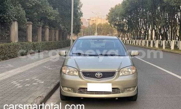 Buy Used Toyota Vios Silver Car in Addis–Ababa in Ethiopia Buy Used Toyota Vios Silver Car in Addis–Ababa in Ethiopia