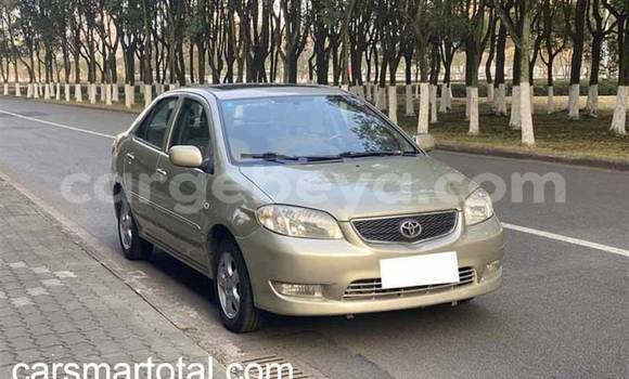 Buy Used Toyota Vios Silver Car in Addis–Ababa in Ethiopia Buy Used Toyota Vios Silver Car in Addis–Ababa in Ethiopia