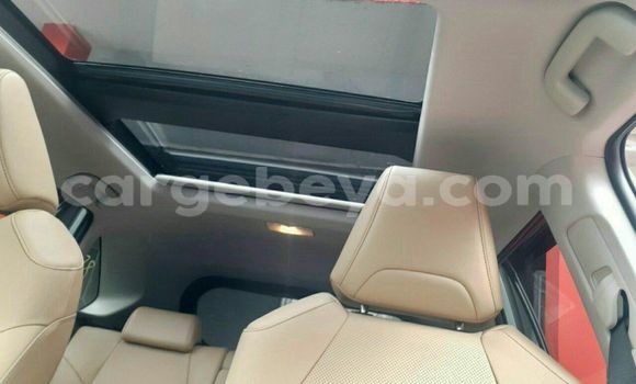 Buy New Toyota RAV4 White Car in Addis–Ababa in Ethiopia Buy New Toyota RAV4 White Car in Addis–Ababa in Ethiopia