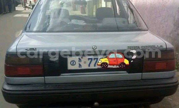 Buy Used Toyota Dyna Silver Car in Addis–Ababa in Ethiopia Buy Used Toyota Dyna Silver Car in Addis–Ababa in Ethiopia