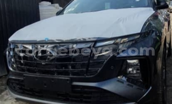 ይግዙ አዲስ Hyundai Tucson ሌላ መኪና በ አዲስ አበባ በ ኢትዮጵያ ይግዙ አዲስ Hyundai Tucson ሌላ መኪና በ አዲስ አበባ በ ኢትዮጵያ