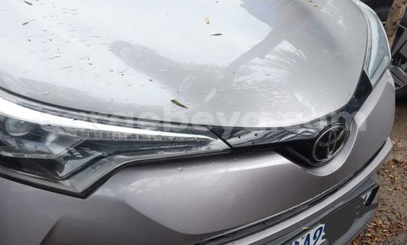 Buy Used Toyota C-HR Silver Car in Addis–Ababa in Ethiopia Buy Used Toyota C-HR Silver Car in Addis–Ababa in Ethiopia