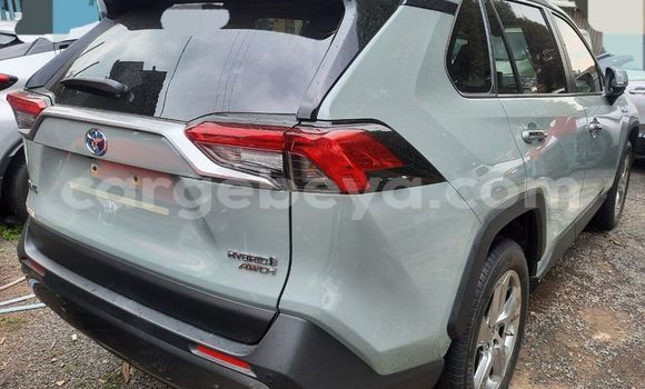 Buy New Toyota RAV4 Other Car in Addis–Ababa in Ethiopia Buy New Toyota RAV4 Other Car in Addis–Ababa in Ethiopia